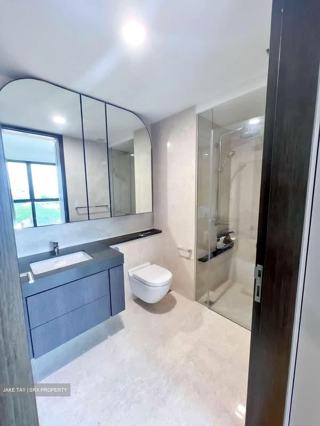 Avenue South Residence (D3), Apartment #580612121